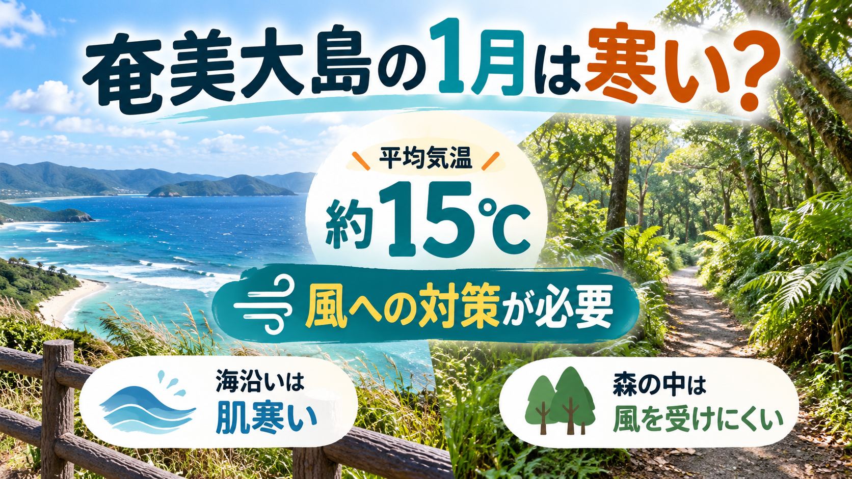 奄美大島1月の寒さガイド