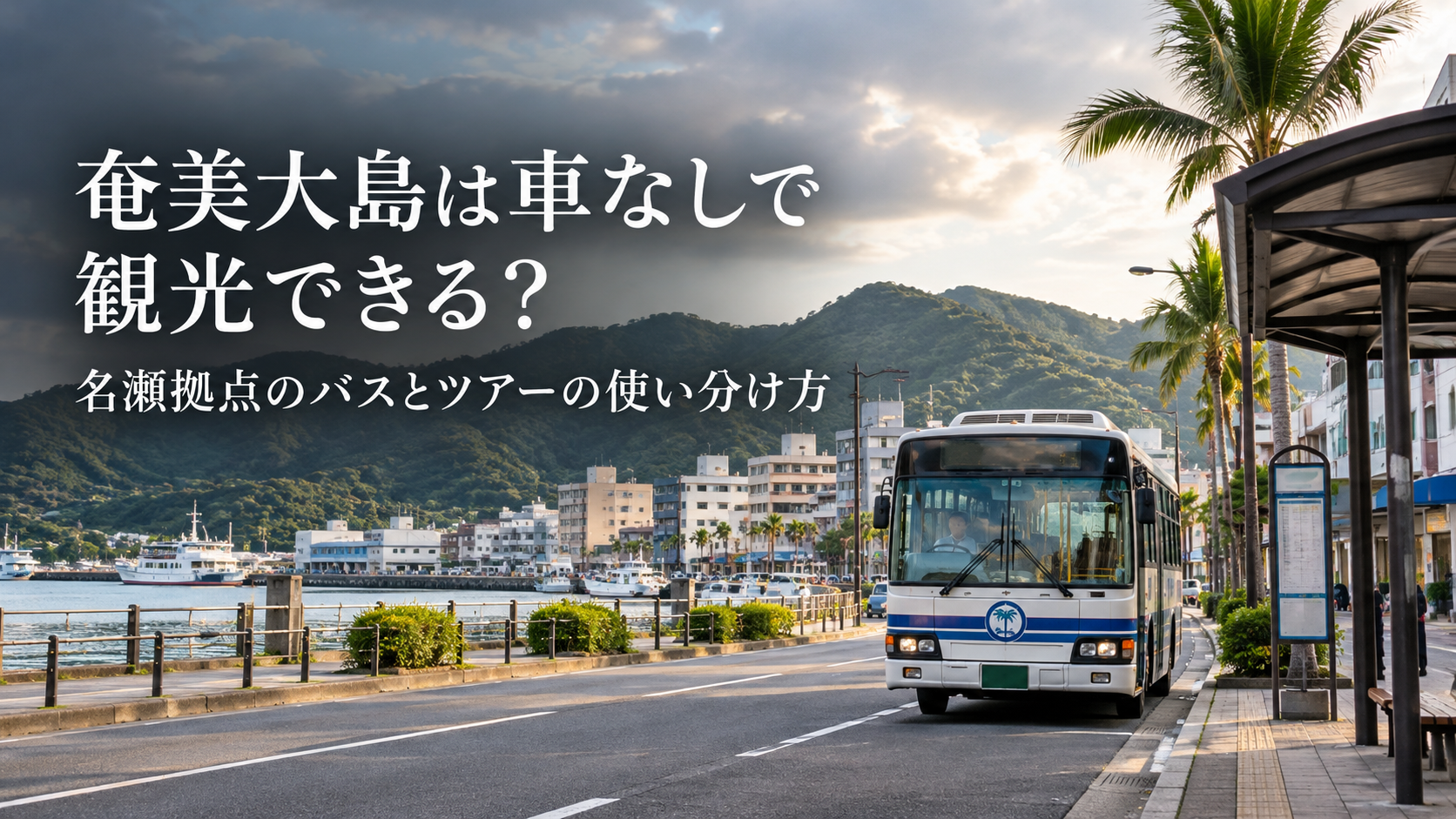 奄美大島は車なしで観光できる？名瀬拠点のバスとツアーの使い分け方