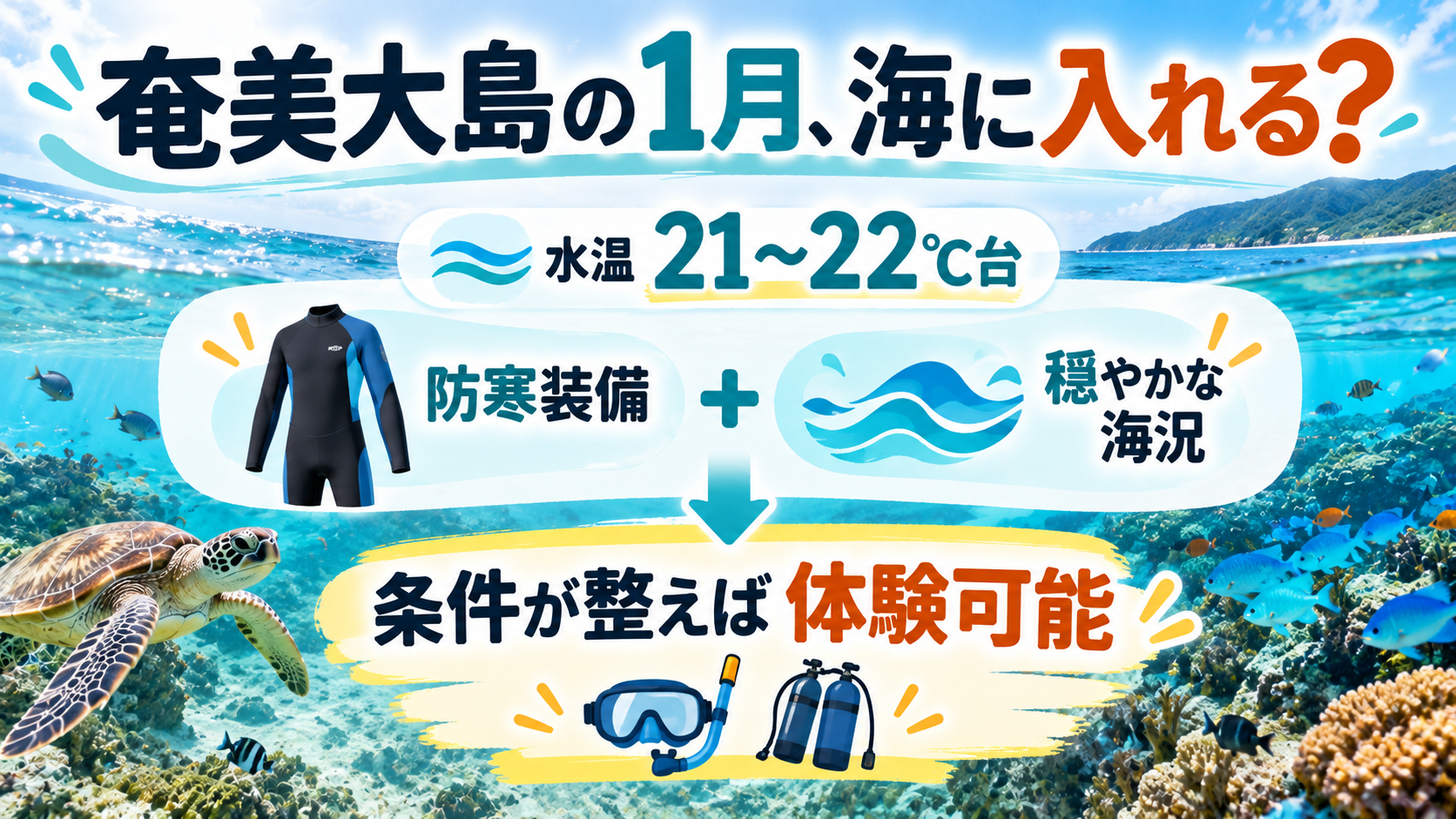 奄美大島の1月、海遊びガイド
